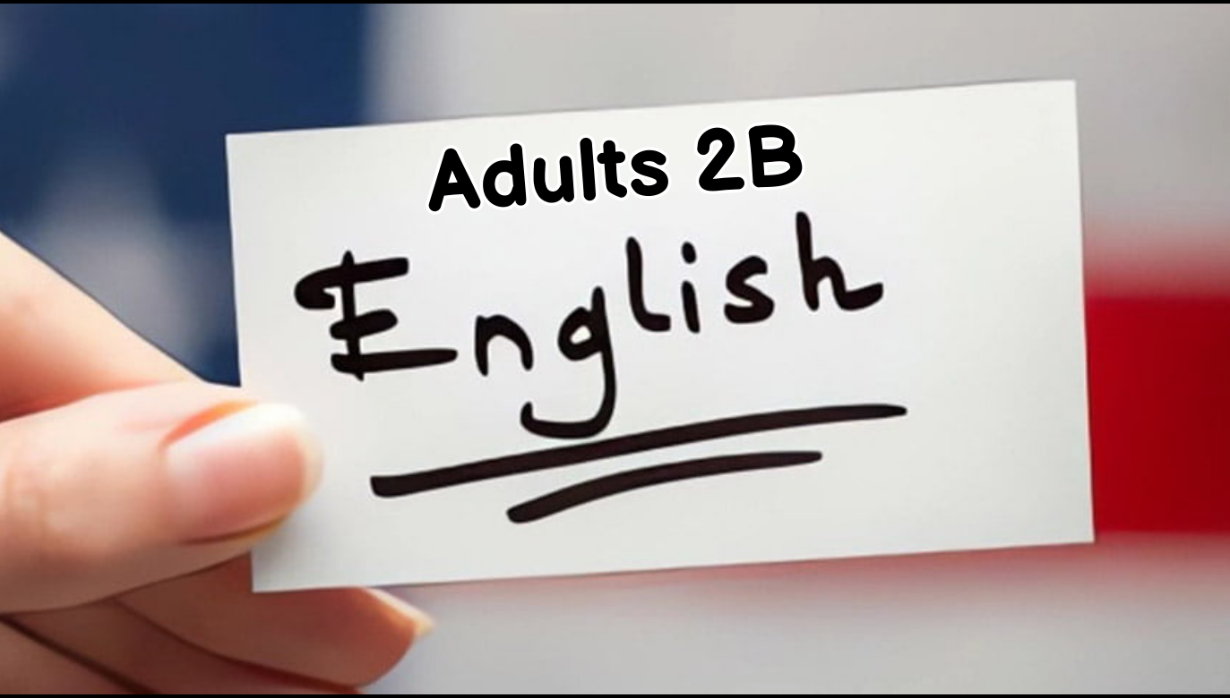 ADULTS 2 B