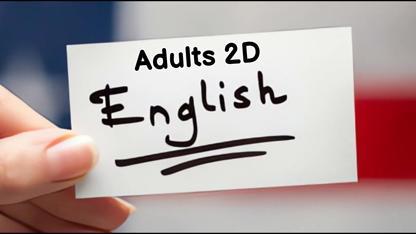 ADULTS  2 D